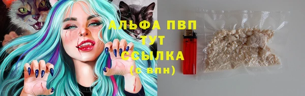 прущие грибы Алексеевка