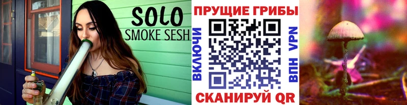 Галлюциногенные грибы Magic Shrooms  что такое   Славск 